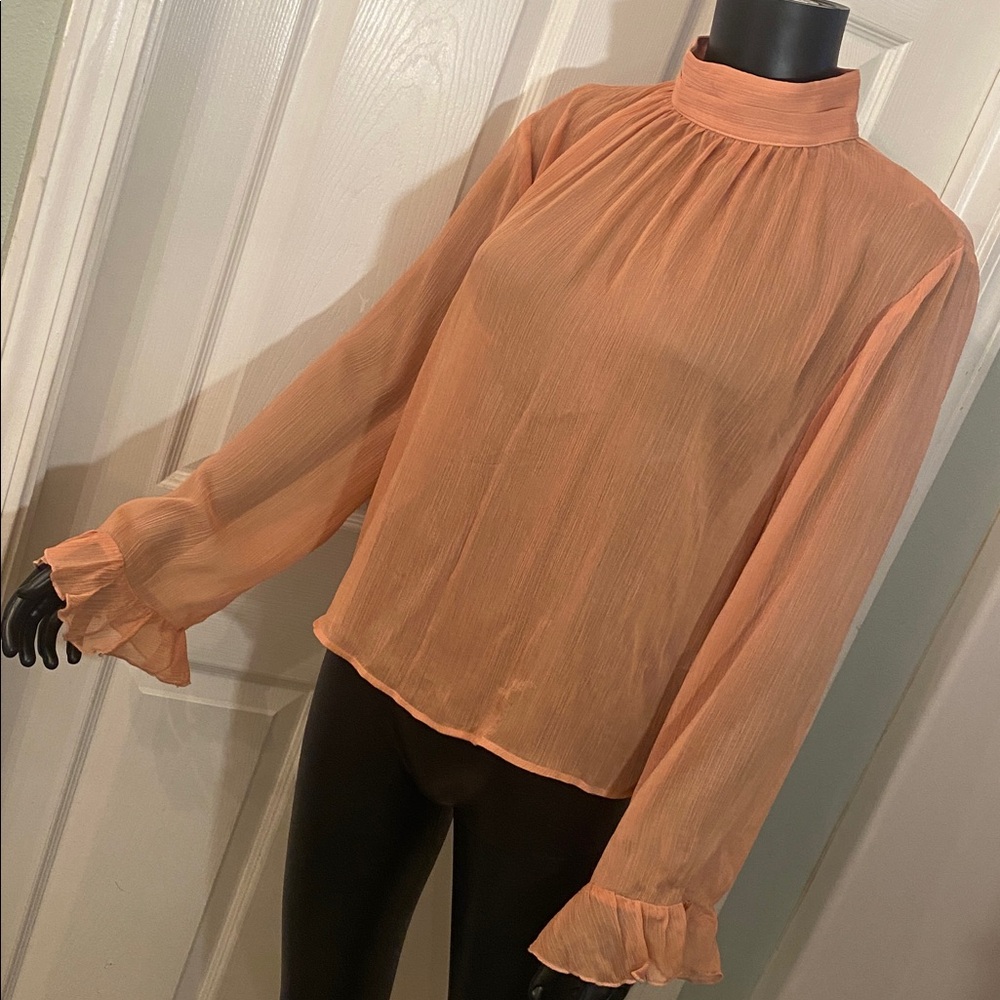 Anthropologie Sheer Terracotta Blouse Top NWTs - Picture 4 of 13